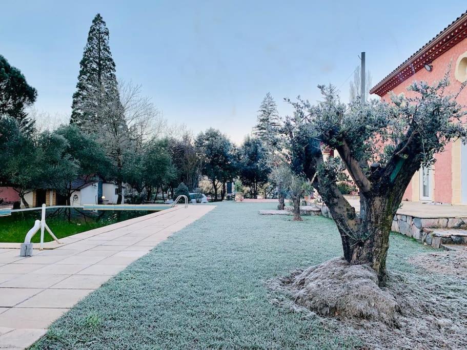 Le Loft Occitanie Sud De France Appartement Ceilhes-et-Rocozels Buitenkant foto