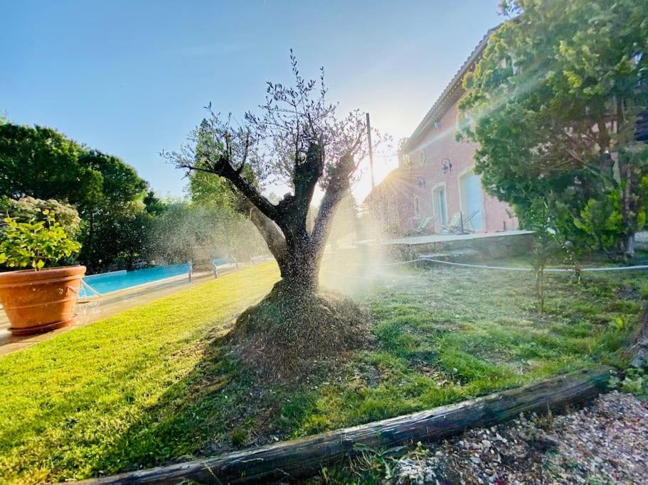 Le Loft Occitanie Sud De France Appartement Ceilhes-et-Rocozels Buitenkant foto